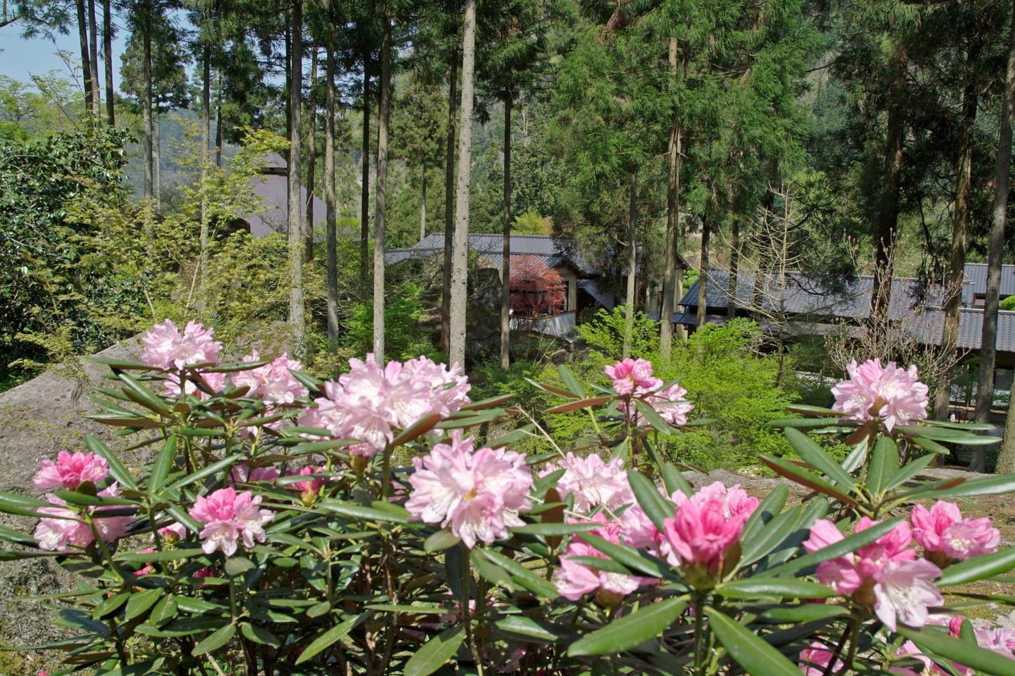 Auberge Funoki Nakatsu Екстериор снимка